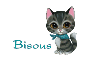 bisous chat
